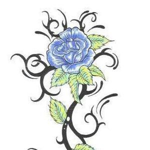 Meet your Posher, Bonnie